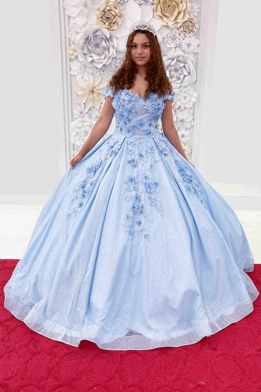 Baby Blue 3D Flower Applique Quinceanera Gown